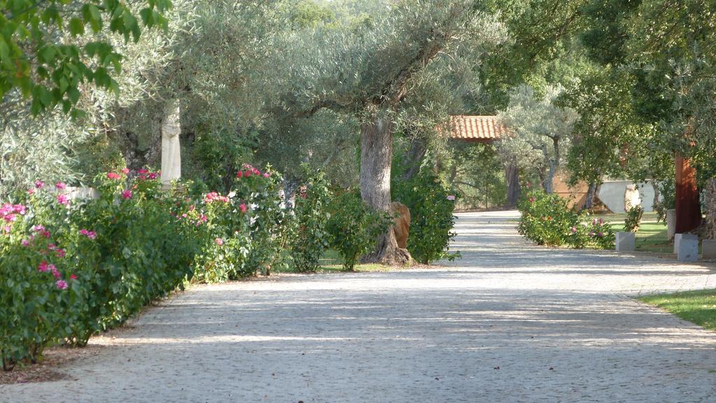 Villa Quinta Entre Rios à Mirandela Extérieur photo